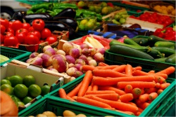 Хранение овощей в холодильных камерах