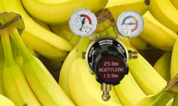 Дозревание и хранение бананов в специальных камерах